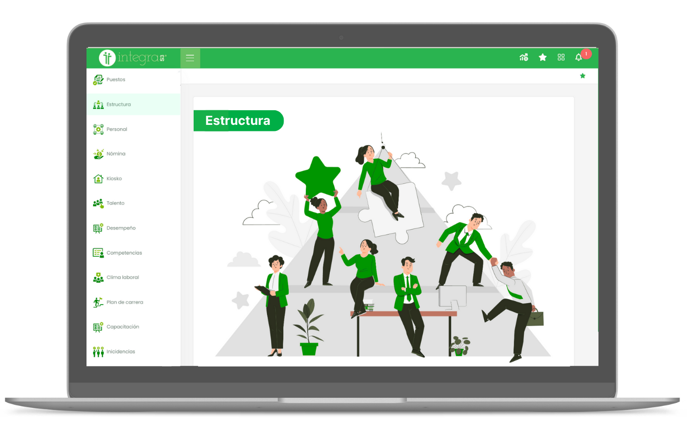 Estructura organizacional